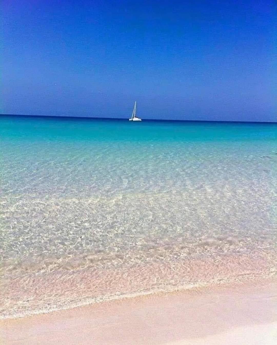 La Mimosa Case Vacanze Марсала Экстерьер фото