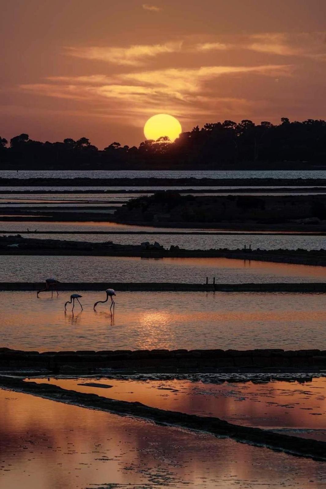 La Mimosa Case Vacanze Марсала Экстерьер фото